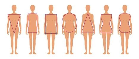 ensemble de différent les types de femelle Les figures. femelle corps les types avec géométrique formes. vecteur