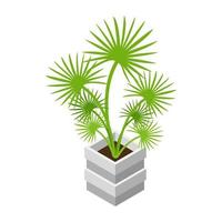 concepts de plantes décoratives vecteur