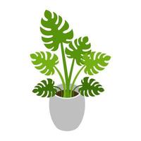 concepts de plantes décoratives vecteur