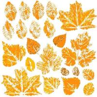 ensemble de dessins vectoriels avec des peintures acryliques. collection de feuilles d'automne vecteur