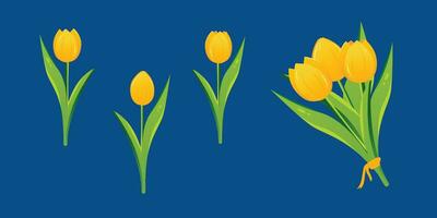 ensemble de tulipe fleurs. fleur les plantes avec brillant Jaune pétales. botanique vecteur illustration sur isolé Contexte. printemps fleurs pour aux femmes jour, de la mère jour, Pâques et autre vacances.