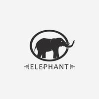 modèle de conception d'illustrateur de vecteur de logo d'éléphant