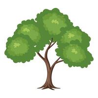 une dessin animé arbre avec vert feuilles sur une blanc Contexte vecteur