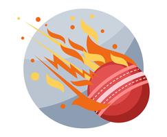 Illustration de balle de cricket vecteur