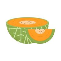 cantaloup tranche fruit illustration vecteur