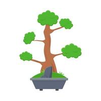 bonsaï arbre dans pot illustration vecteur