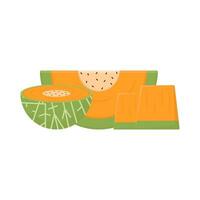 cantaloup tranche fruit illustration vecteur