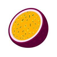 passion fruit vecteur illustration. passion fruit cette a été diviser. tranches de mûr violet passion fruit. isolé sur blanc Contexte.