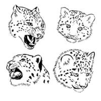 neige léopard vecteur esquisser