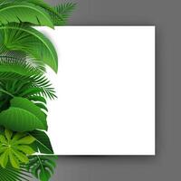 signe avec texte espace de tropical feuilles. adapté pour la nature concept, vacances, et été vacances, vecteur illustration