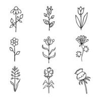 ensemble de vecteur dessins de Prairie fleurs dans dessin animé style sur une blanc arrière-plan, tiré par main.