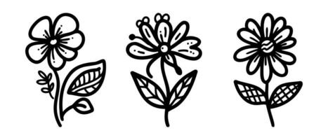 éléments floraux de conception de vecteur dessinés à la main