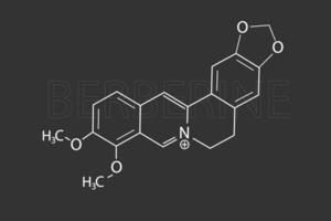 berbérine moléculaire squelettique chimique formule vecteur