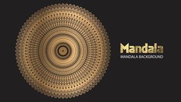 vue unique de conception de mandala. vecteur