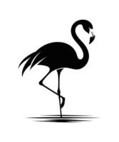 conception d'illustration vectorielle silhouette flamant rose vecteur