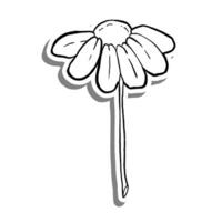 noir ligne un moitié Marguerite fleur Floraison sur blanc silhouette et gris ombre. main tiré dessin animé style. vecteur illustration pour décorer, coloration et tout conception.