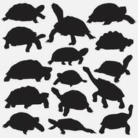 tortue silhouette ensemble vecteur