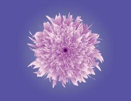 3d abstrait fleur vecteur conception - floral illustration