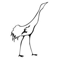 oiseau cigogne, vecteur illustration
