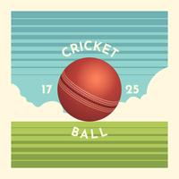 Illustration de balle de cricket vecteur