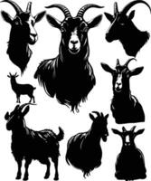 chèvre silhouettes, chèvre vecteur