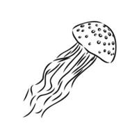 méduse vecteur esquisser