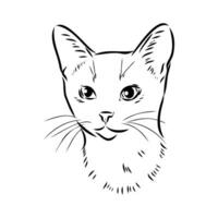 croquis de vecteur de chat