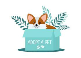 adopter chien, mignonne dessin animé sans abri chiot dans une boîte, sur le rue. adopte animaux domestiques et favorise eux. animal de compagnie adoption concept. texte, une inscription adopter moi. ne le fais pas acheter - Aidez-moi sans abri animaux trouver une maison. vecteur