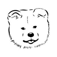 croquis de vecteur de chien akita inu