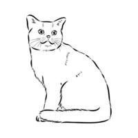 croquis de vecteur de chat