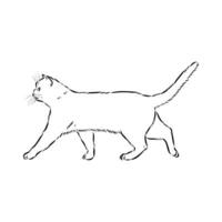 croquis de vecteur de chat