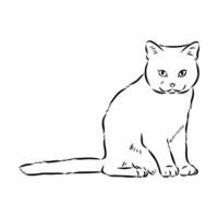 croquis de vecteur de chat