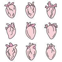 la biologie Humain cœur Icônes ensemble vecteur Couleur