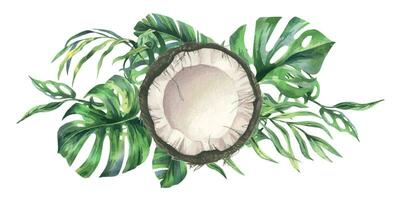 noix de coco ensemble, moitiés et pièces avec brillant, vert, tropical paume feuilles. main tiré aquarelle illustration. préfabriqué composition isolé de le Contexte vecteur