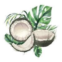 noix de coco ensemble, moitiés et pièces avec brillant, vert, tropical paume feuilles. main tiré aquarelle illustration. préfabriqué composition isolé de le Contexte vecteur