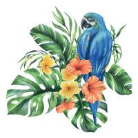 tropical paume feuilles, monstera et fleurs de plumeria, hibiscus, brillant juteux avec bleu jaune ara perroquet. main tiré aquarelle botanique illustration. composition isolé de le Contexte vecteur