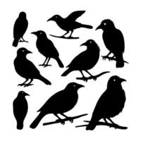 vecteur des oiseaux silhouettes collection blanc Contexte