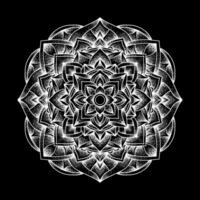 vecteur direct mandala illustration Contexte