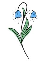 Belle fleur gracieuse cloches bleues line art vector illustration