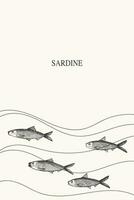 sardine poisson Cadre étiquette Contexte pour texte main tiré frontière.template avec pichard Fruit de mer avec petit poisson. vecteur toile de fond illustration avec sardines pour imprimer, emballage, logo, carte, prospectus