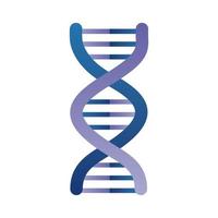 molécule d'ADN lilas vecteur