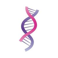 ADN rose et lilas vecteur