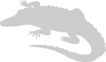 alligator vecteur