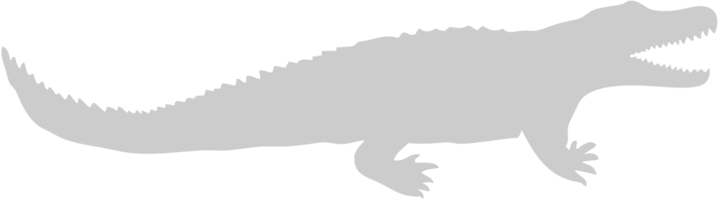 alligator vecteur