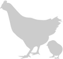 poulet vecteur