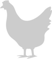 poulet vecteur