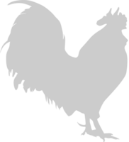 coq de poulet vecteur