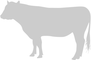 vache vecteur