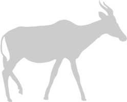 cerf vecteur