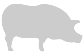 porc vecteur